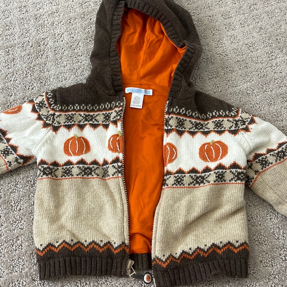Janie and Jack pumpkin sweater